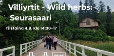 Villiyrtit wild herbs Seurasaari tapahtuman kuva jossa otsikko, aika ja logot. Taustakuva on Jukka Leppikankaan ottama kesäinen kuva Seurasaaren sillasta ja kävelevistä ihmisistä kesäkuussa 2025