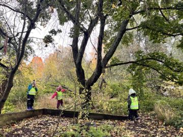 Lapsia keltaiset liivit päällä luonnossa liikkumassa.