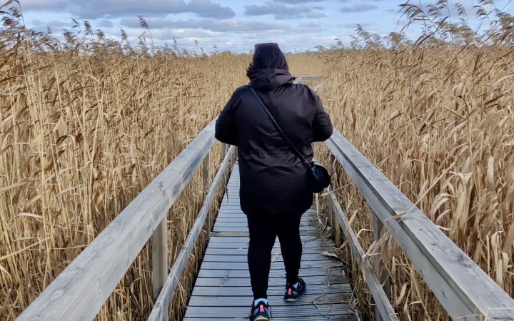 Kuvassa nainen selin kävelemässä sillalla pellon keskellä.