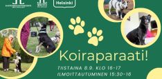 Koiraparaati kansikuva jossa ylhäällä vasemmalla logot, alhaalla oikealla tapahtuman lyhyet tiedot. Vihreä tausta jossa keltaisia ympyröitä joiden sisällä neljä eri koiraa Lapinlahdesta