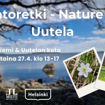 Luontoretki nature trip Uutela aikataulu ja logot ja mainintana Särkkäniemi ja Uutelan kota. Taustakuva Särkkäniemen rannasta, pikkukuvat Uutelasta valkovuokko ja metsäkauriit