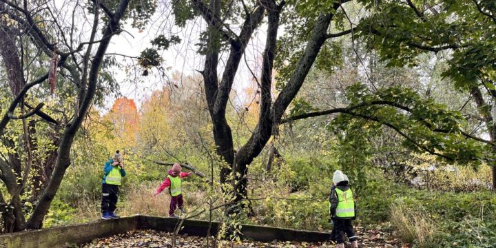 Lapsia keltaiset liivit päällä luonnossa liikkumassa.