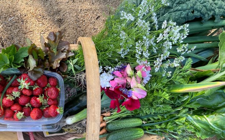 Sato jaetaan läsnäolijoiden kesken