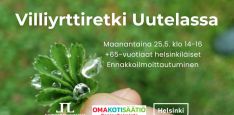 Villiyrttiretki Uutelassa retken tiedot ja logot, taustakuva on poimulehti Anne Virtasen kädessä