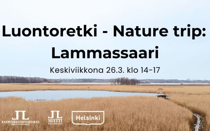 Luontoretki nature trip Lammassaari tapahtuman kuva jossa logot ja aika. Taustakuvassa keväinen maisema vanhankaupunginlahdelta järviruokoa ja lammassaari