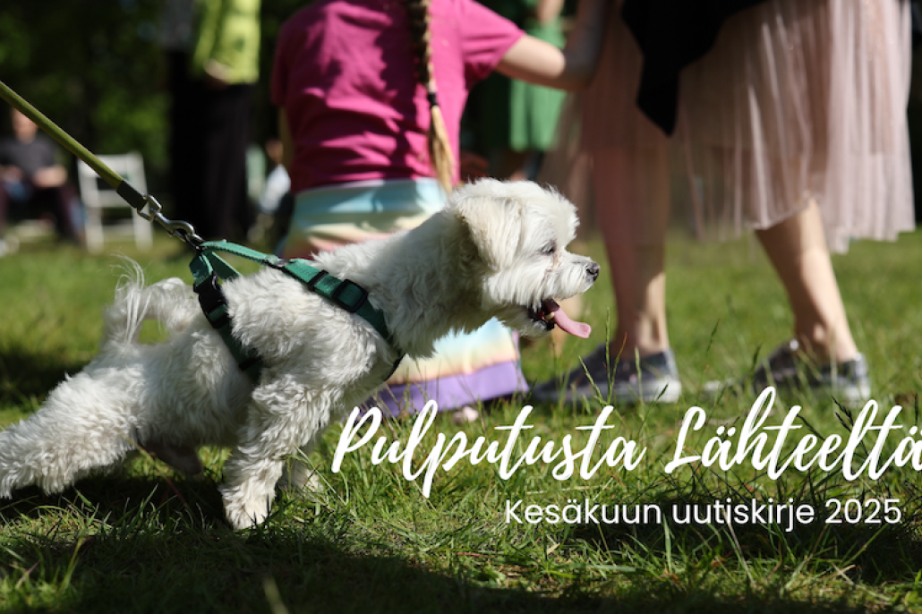 Kuvassa hauska valkoinen, innokas koira