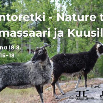Luontoretki nature trip lammassaari ja kuusiluoto tapahtuman kansikuva jossa infot ja logot. Taustakuva on Jukka Leppikankaan ottama kuva kahdesta tummasta lampaasta Kuusiluodossa kesällä 2025