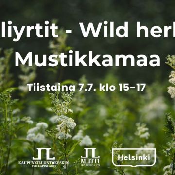 Villiyrtit wild herbs mustikkamaa tapahtuman aika ja logot. Taustakuvassa kukkivia mesiangervoja