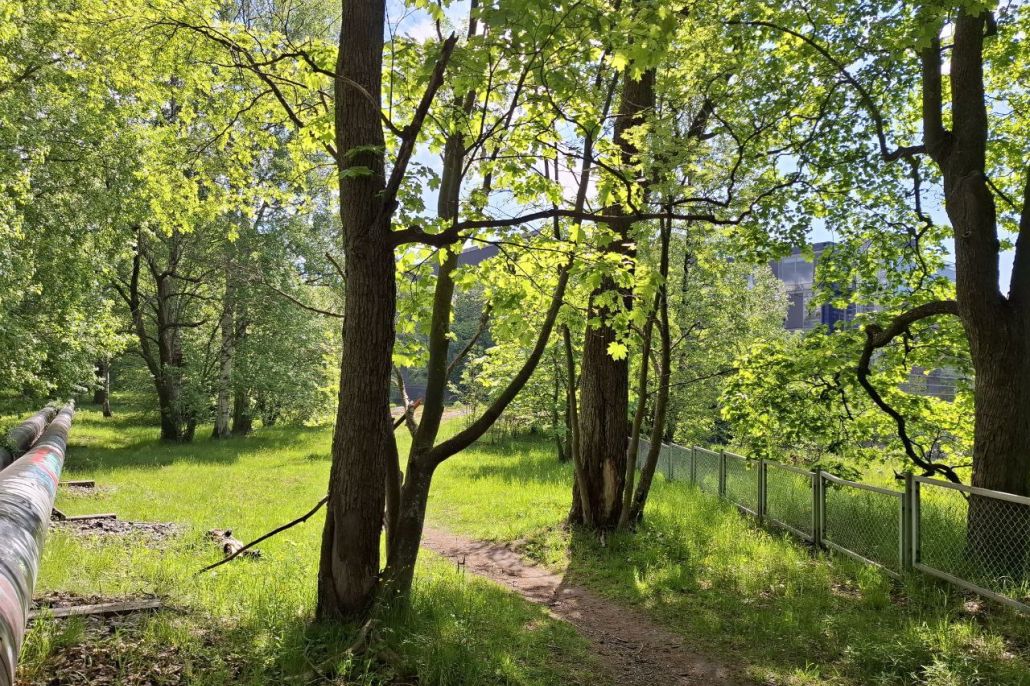 Aurinkoinen vehreä puisto