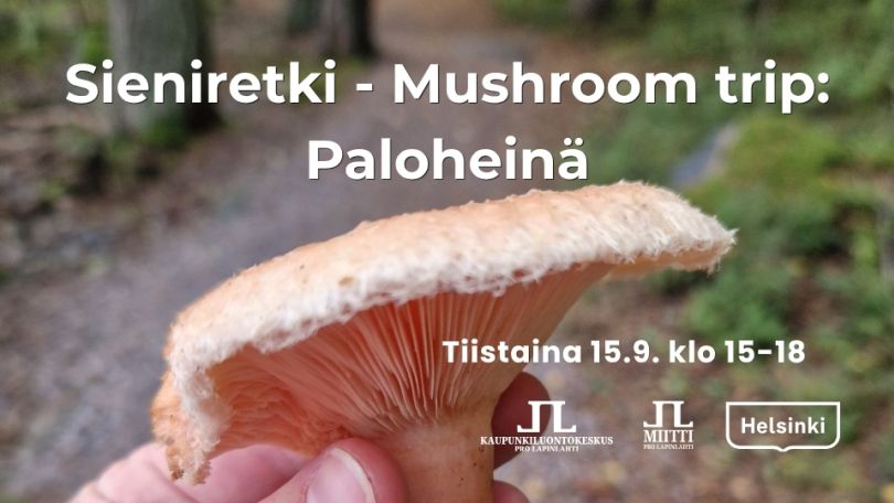 Sieniretki Mushroom trip Paloheinä kuva jossa infot ja logot. Taustakuvassa ohjaajan kädessä iso karvarousku ja metsää taustalla