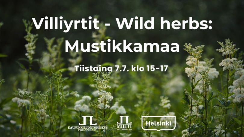 Villiyrtit wild herbs mustikkamaa tapahtuman aika ja logot. Taustakuvassa kukkivia mesiangervoja