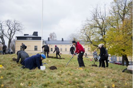 kukkasipulitalkoot Lapinlahden Lähde