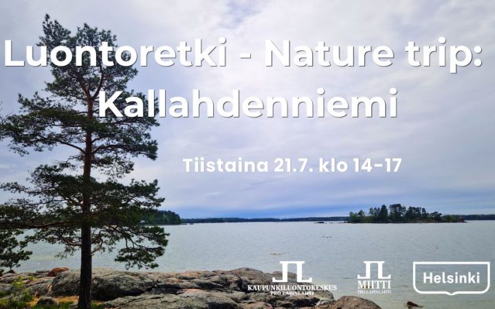 Luontoretki nature trip Kallahdenniemi aika ja logot. Taustakuva Kallahdenniemen kärjestä jossa mänty, kalliota ja laaja maisema merelle hieman pilvisellä säällä