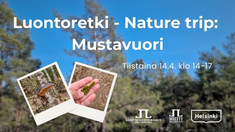 Luontoretki nature trip Mustavuori retken ajat ja logot. Taustakuva on Mustavuoresta mäntymetsää ja taivasta, pikkukuvissa Mustavuoresta kääpä ja havu kädellä
