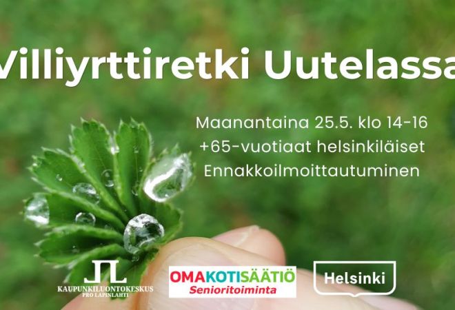 Villiyrttiretki Uutelassa retken tiedot ja logot, taustakuva on poimulehti Anne Virtasen kädessä