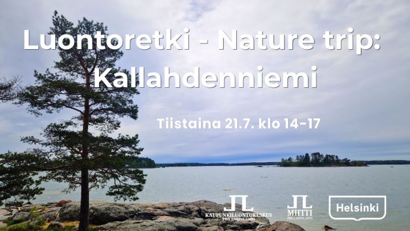 Luontoretki nature trip Kallahdenniemi aika ja logot. Taustakuva Kallahdenniemen kärjestä jossa mänty, kalliota ja laaja maisema merelle hieman pilvisellä säällä