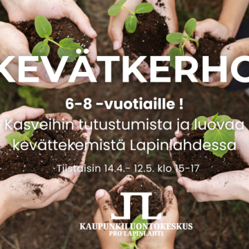 Käsiä, joissa kesäkurpitsan taimia.