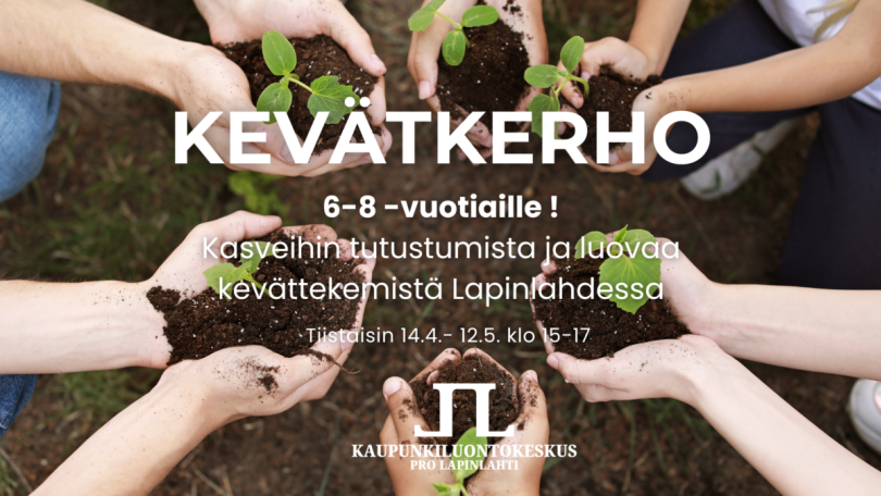 Käsiä, joissa kesäkurpitsan taimia.