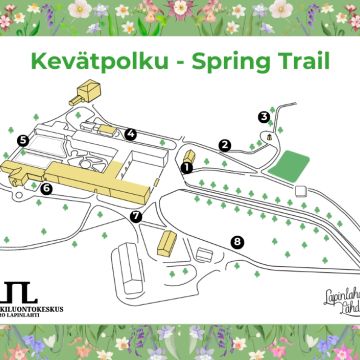 Kevätpolku spring trail kartta lapinlahden puistosta ja kahdeksan polun rastia ympäri puistoa. Lisäksi järjestäjien logot ja vihreä kehys jossa kukkasia