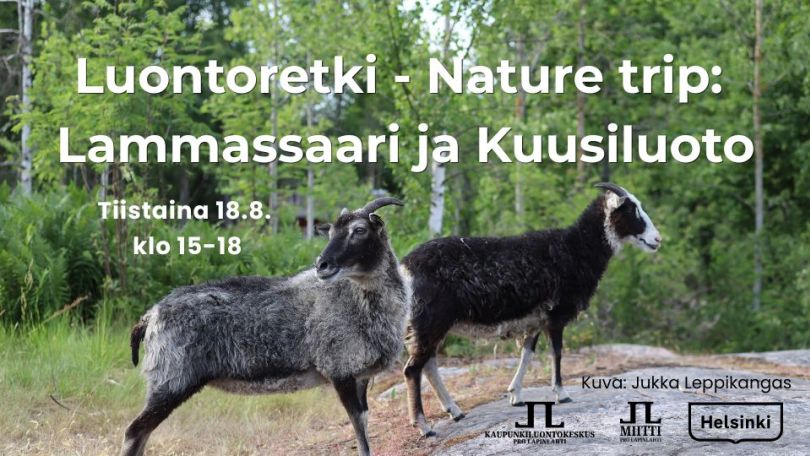 Luontoretki nature trip lammassaari ja kuusiluoto tapahtuman kansikuva jossa infot ja logot. Taustakuva on Jukka Leppikankaan ottama kuva kahdesta tummasta lampaasta Kuusiluodossa kesällä 2025