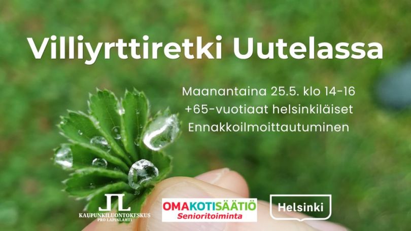 Villiyrttiretki Uutelassa retken tiedot ja logot, taustakuva on poimulehti Anne Virtasen kädessä