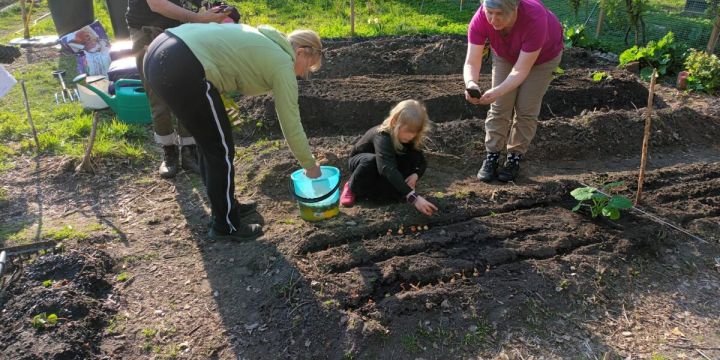 Yhteisöviljelykerho