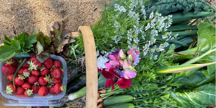 Sato jaetaan läsnäolijoiden kesken